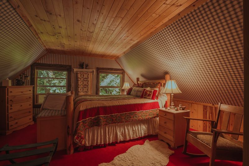 Waking Up Surrounded By Towering Trees