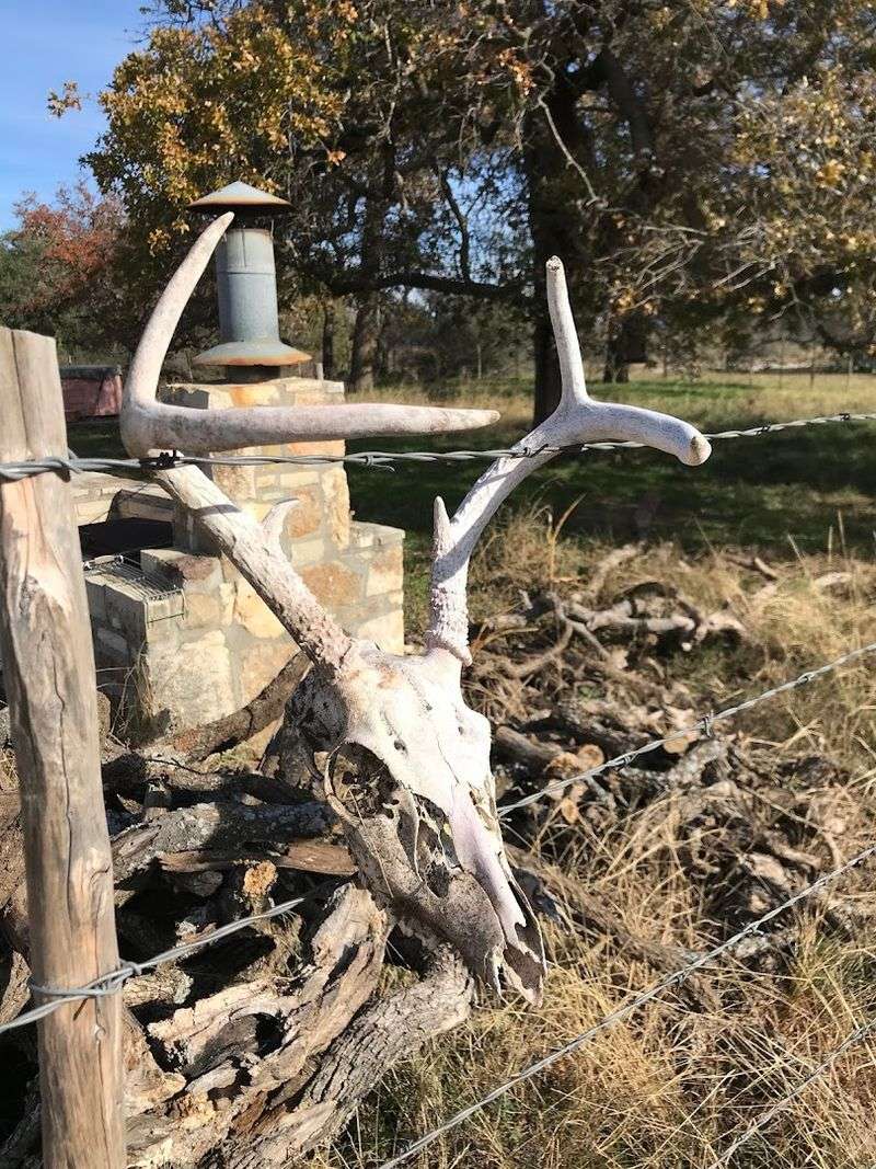 Mason County Topaz Hunting