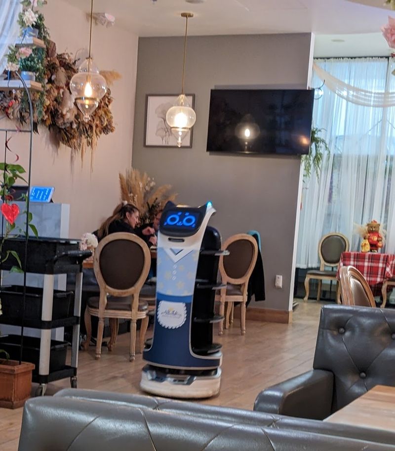 The Robot Cat Server That Steals Every Visit