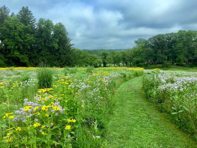 Greenway Meadows Park