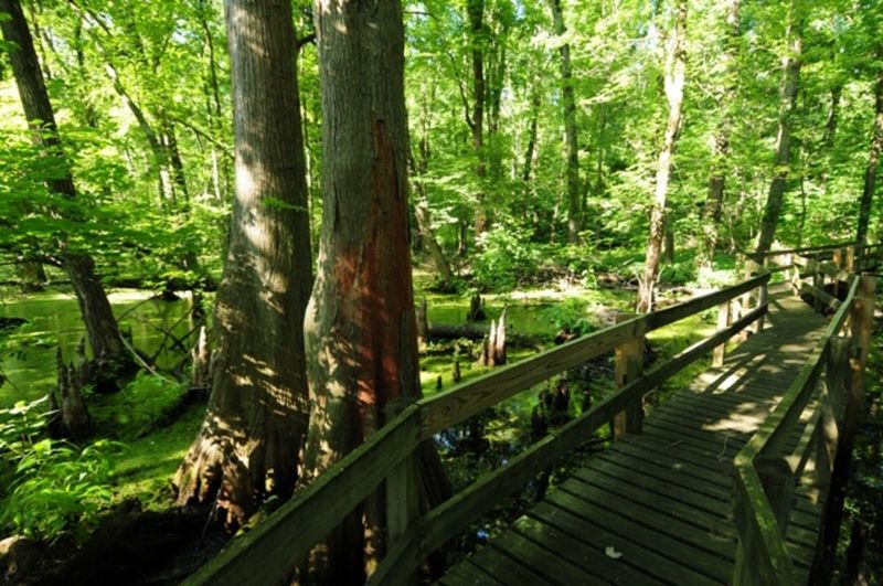 The Remote Location Creates a True Escape