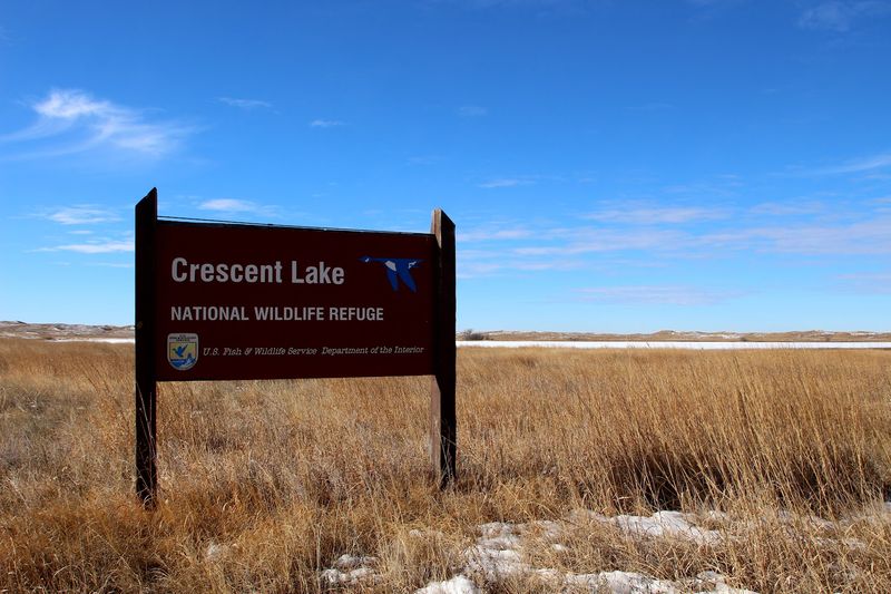 Short Walks That Get You Into The Sand Fast