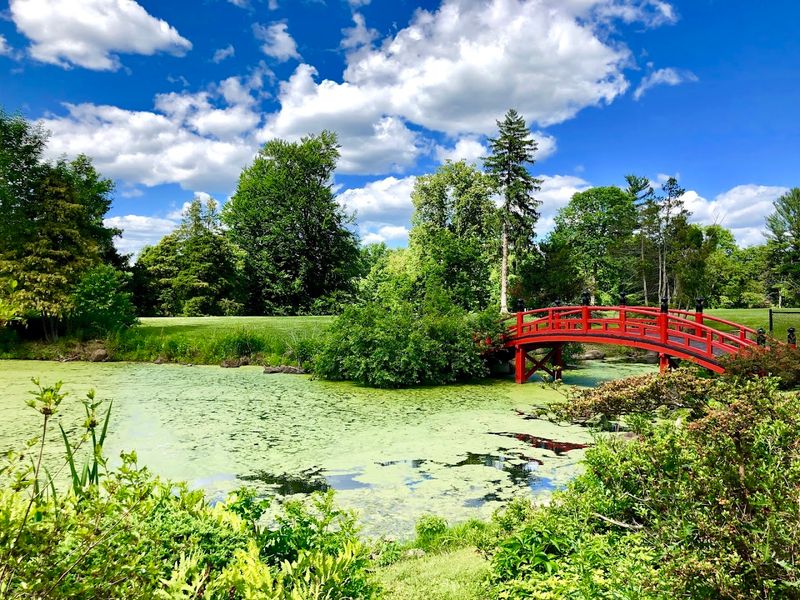 Duke Farms (Meadow Walk)