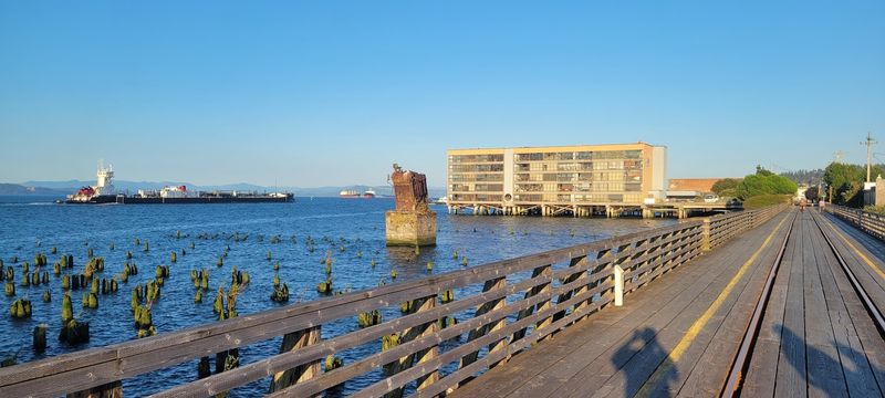 The Lighted Pylons: Making the Walk Feel Magical at Night