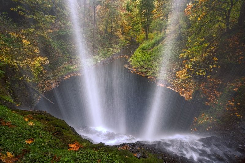 Wildlife and Nature Along the Short Loop