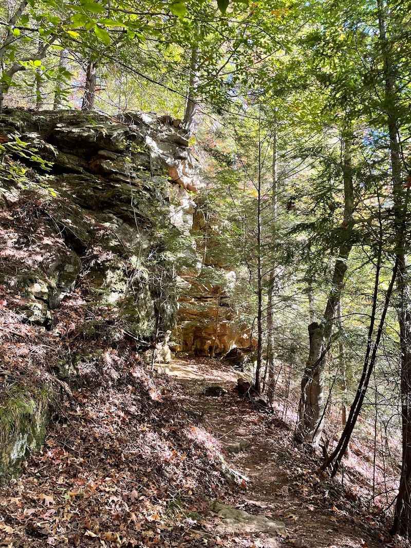 A Moderate Challenge With a Rewarding Elevation Payoff