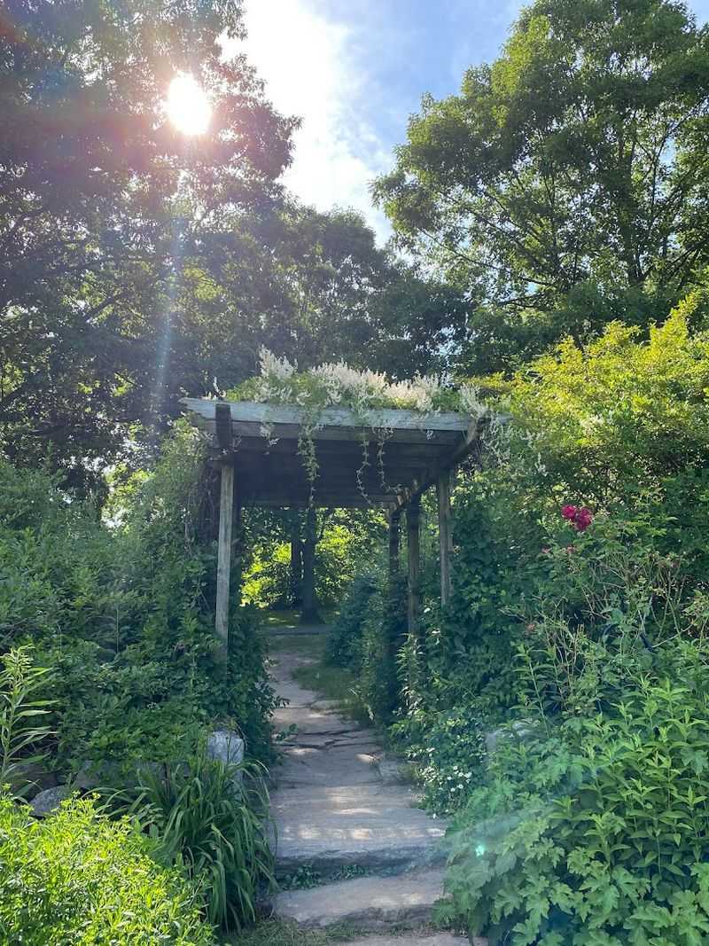 Woodland Trails That Lead to Hidden Ponds and Wildlife