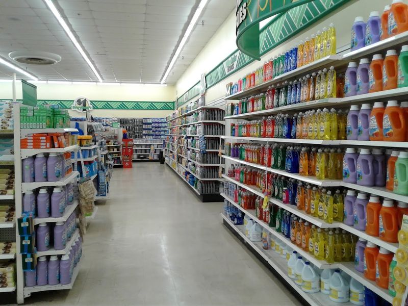 Household Essentials That Keep the Budget Intact