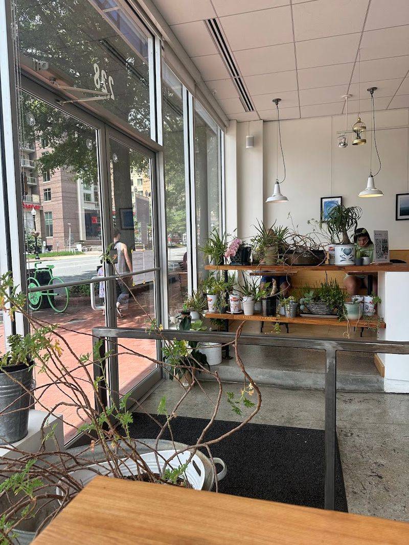 The Greenery Inside Is a Whole Mood on Its Own