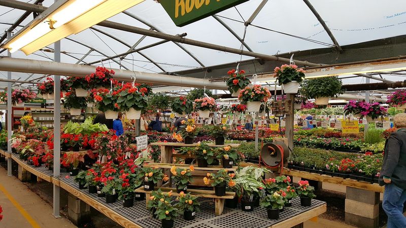 Photo Friendly Spots That Capture The Greenhouse Mood