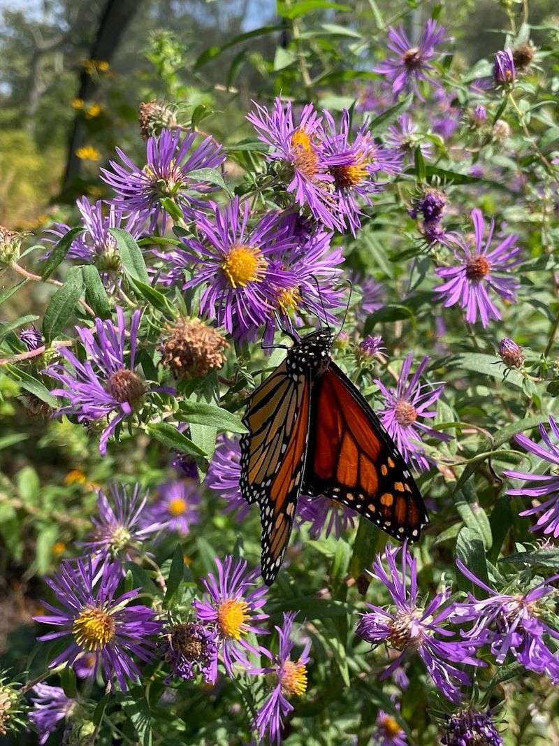 Why The Watershed Institute Belongs on Every New Jersey Bucket List