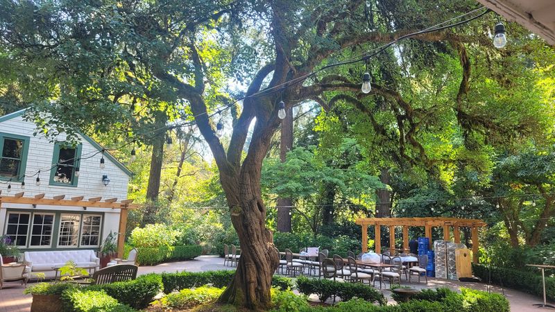 The Gift Shop and Small Surprises