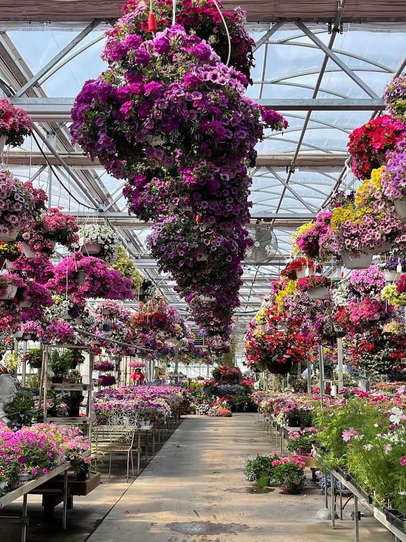 Incredibly Fresh Produce and a Farm Stand Worth Exploring