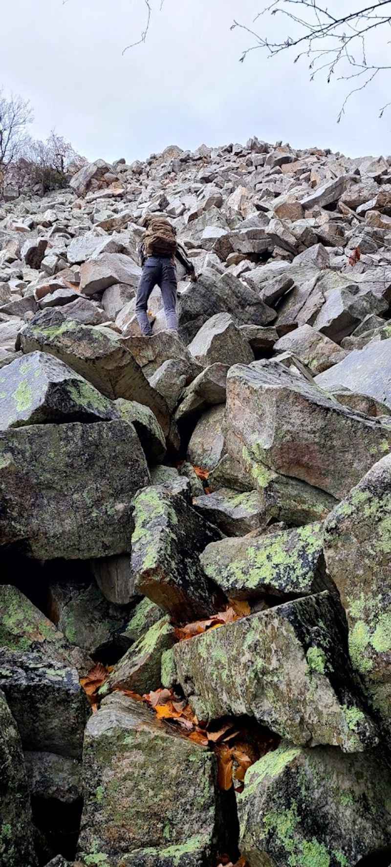 Safety Smarts: Navigating the Boulder Field Wisely