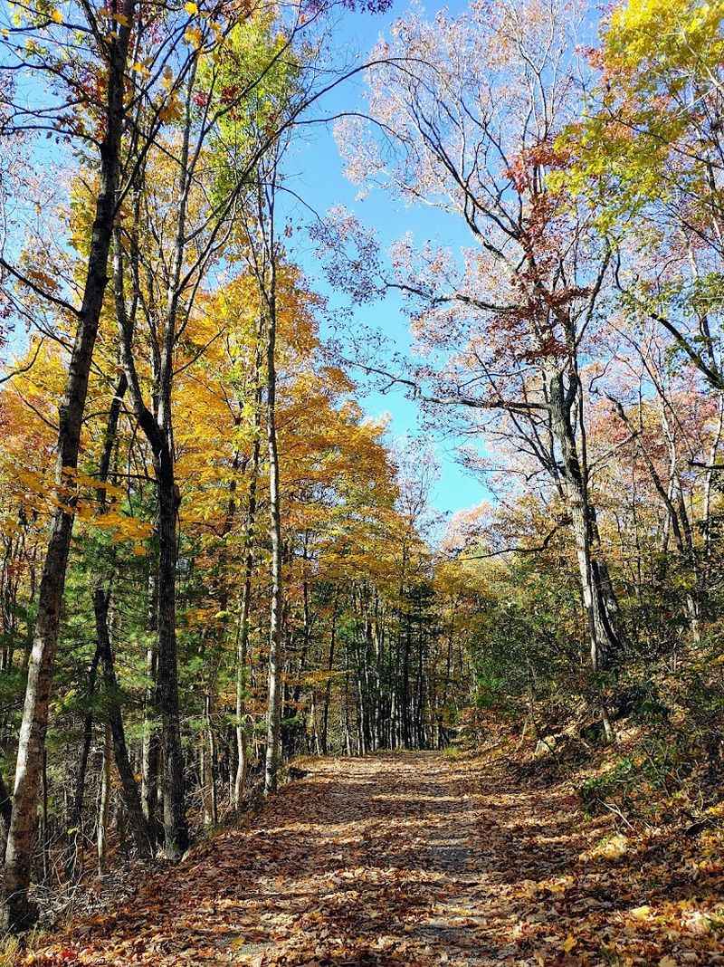 Getting There and Making the Most of Your Visit to Rosedale