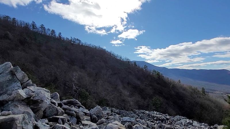 Plan Your Trip: Everything You Need Before You Go