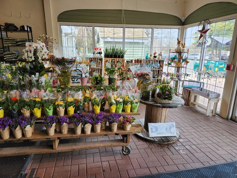 The Nursery Section Adds a Surprising Layer of Charm