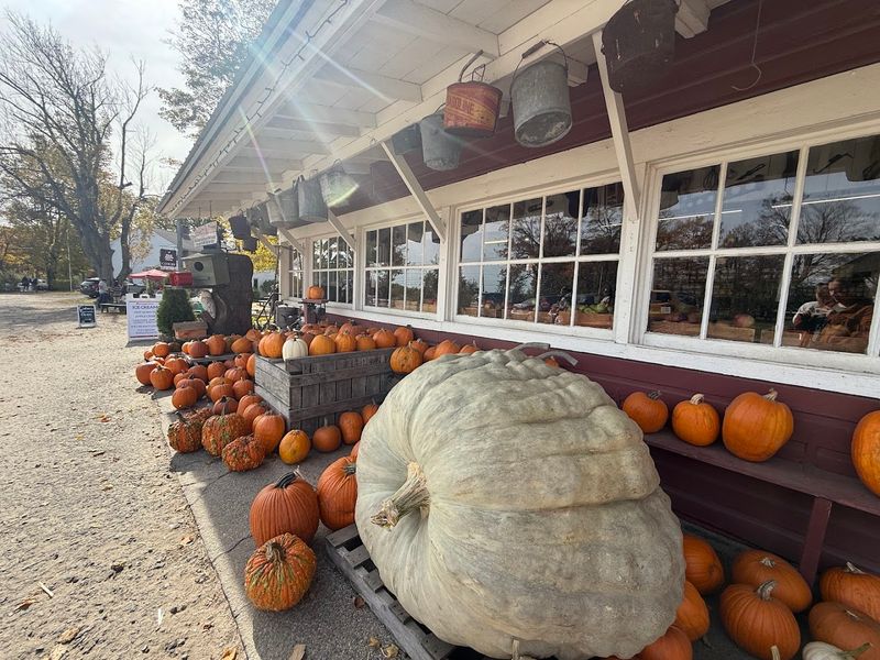 Why This Place Feels So Rich With Flavor