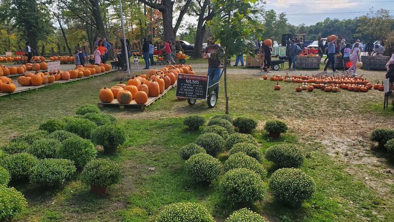 A Chesterland Stop Worth The Drive