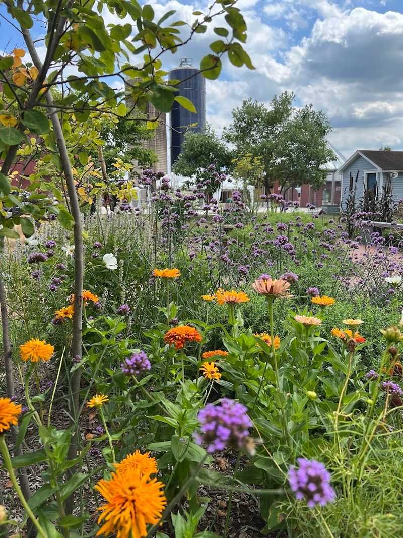 Community Gardens and Beautiful Farm Grounds Worth Exploring