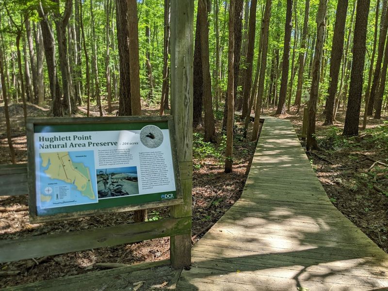 The Parking Situation That Actually Works In Your Favor