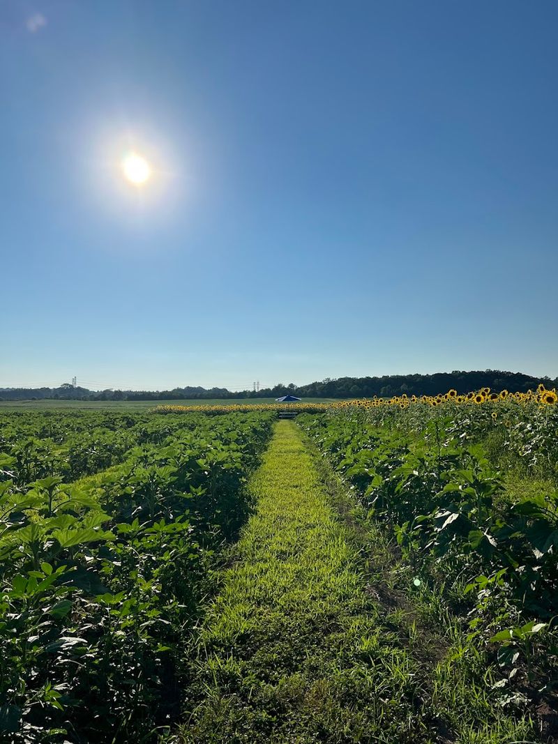 Practical Tips for Planning Your Visit