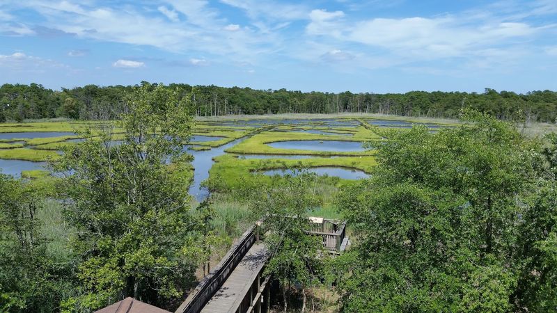 Why Cattus Island Deserves a Spot on Your List