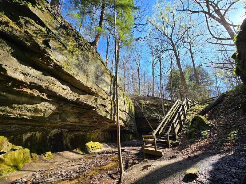 Trail 1 and the Iconic Views of Inspiration and Prospect Points