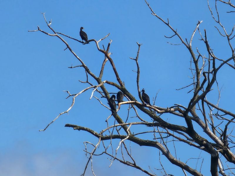 Birdwatching Opportunities That Rival Far More Famous Destinations