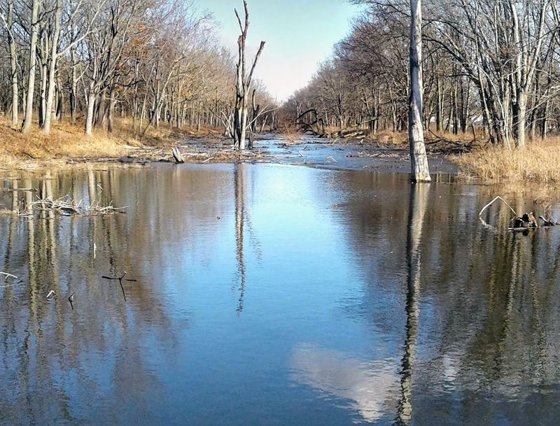 Active Conservation of One of Indiana's Most Vulnerable Ecosystems