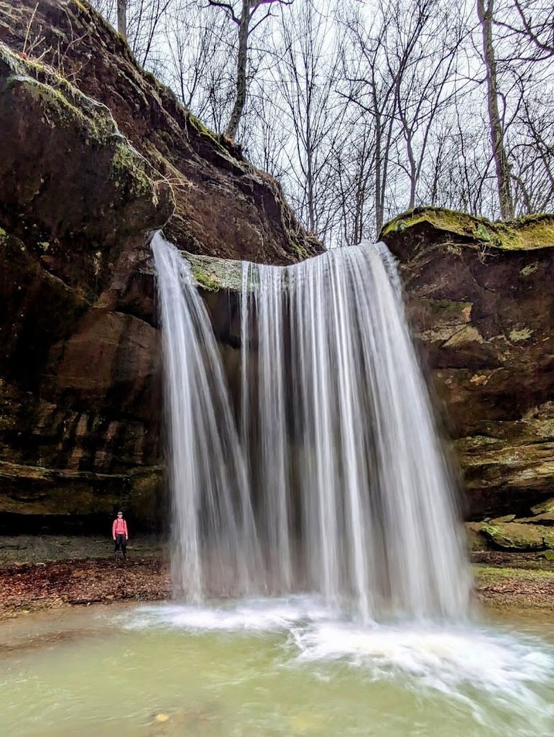 Yellow Birch Ravine Nature Preserve