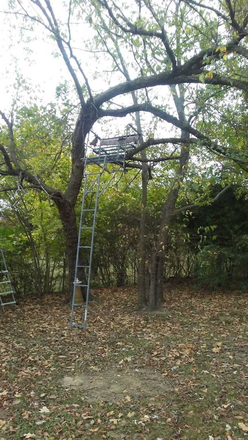 The Treetop Adventure Park Brings a Whole Other Kind of Challenge