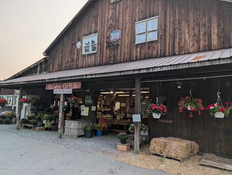 The Kind Of Farm Stand That Feels Genuinely Local