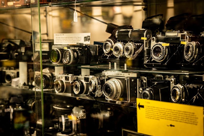 Guided Tours That Bring the Collection to Life