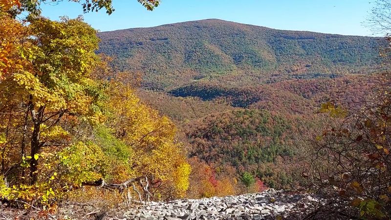 Conquering the Blue Loop Trail Up Torry Ridge