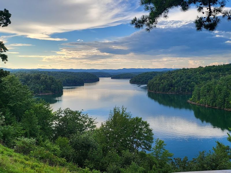 Philpott Lake, Bassett