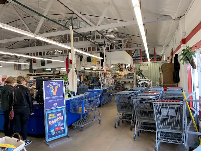 Best Timing Strategy For Crowds And Checkout Lines