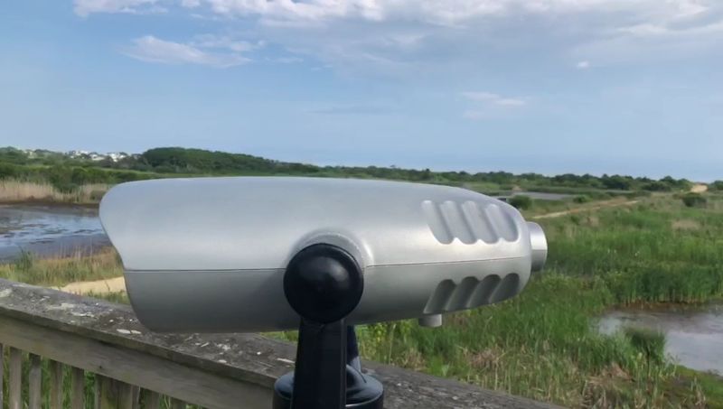 The Bird Blind and Observation Platforms