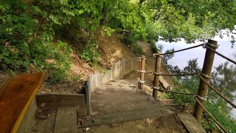 The Tea House: A Woodland Surprise Worth Every Step