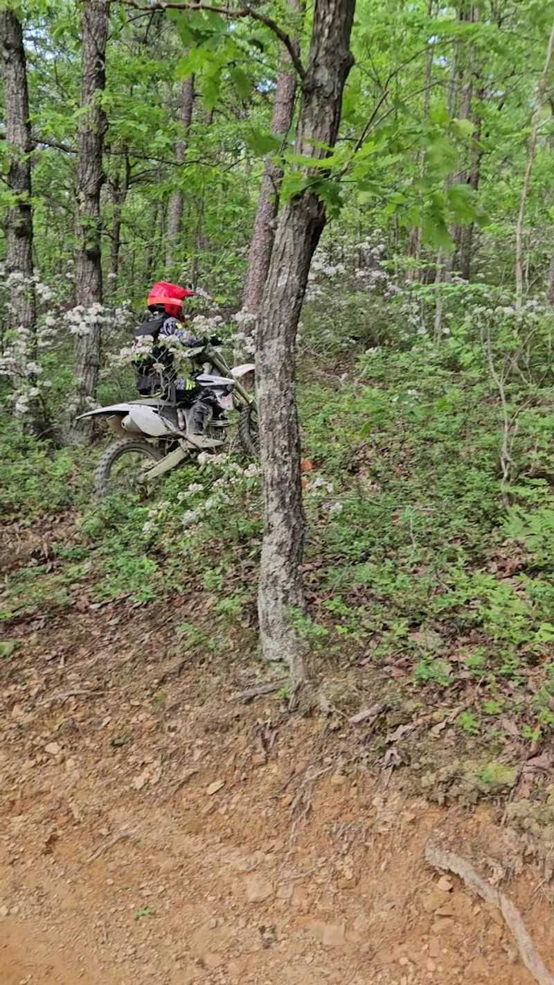 The Lawbreaker and Huckleberry Trails: The Names Say It All