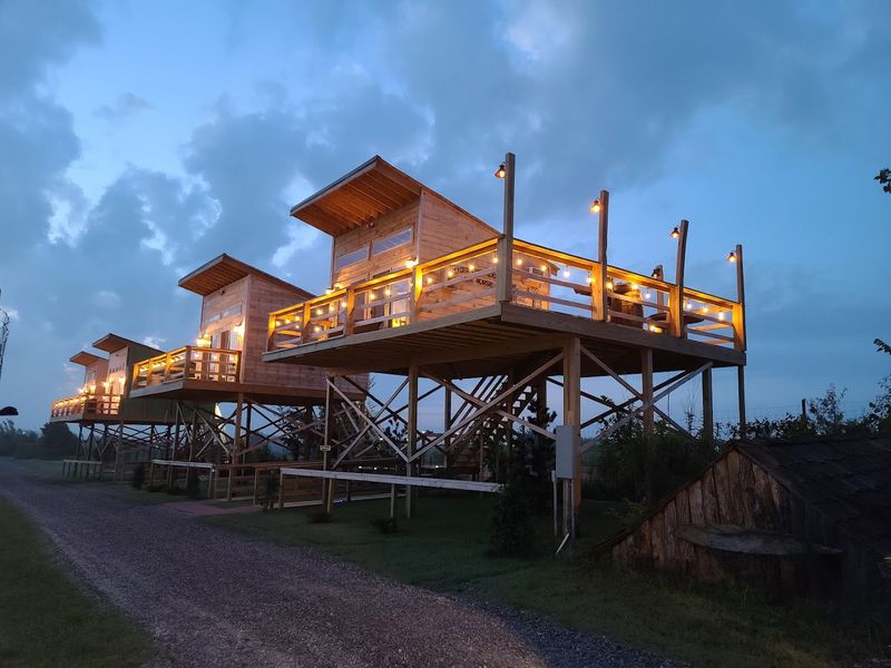 The Treehouse Experience You Never Knew Existed
