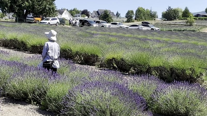 A Summer Stop That Slows You Down