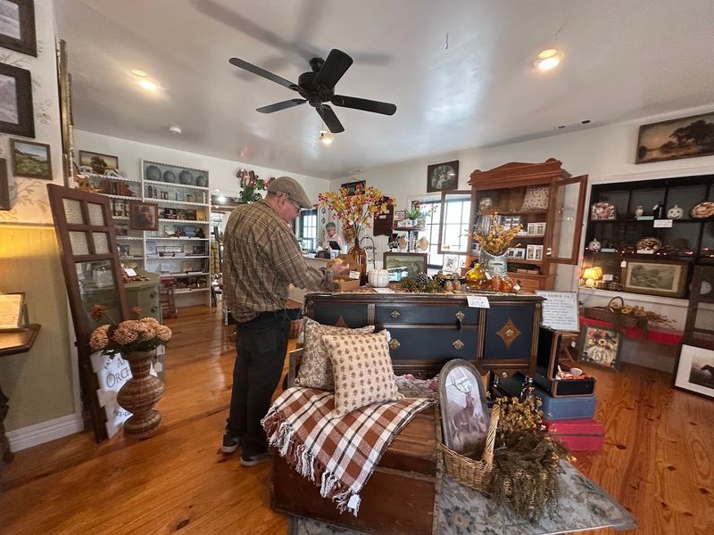 Why Browsing Here Feels So Easy