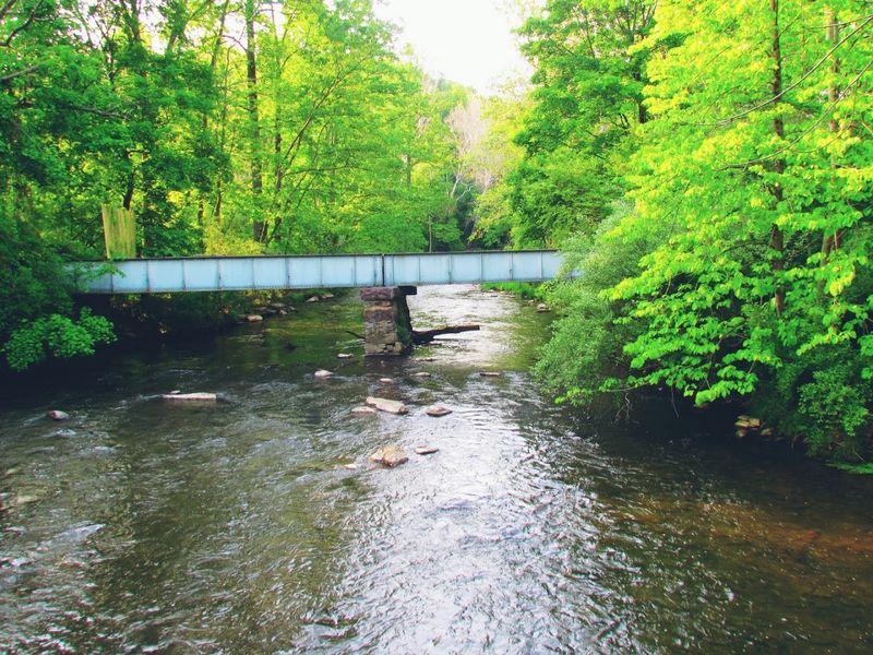 The Raritan River Trail and Why Your Legs Will Thank You