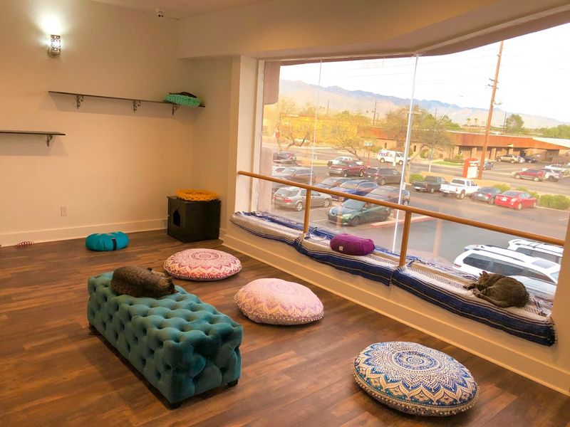 Hours Plan That Helps You Pick A Calm Time Slot