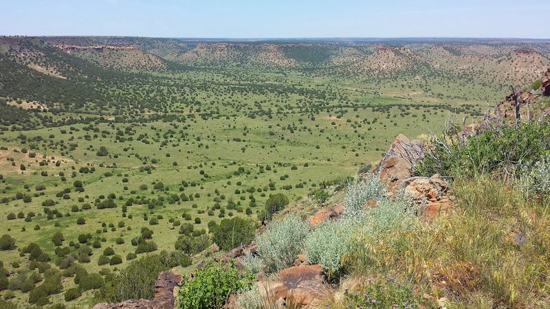 The Night Sky Out Here Will Rearrange Your Brain