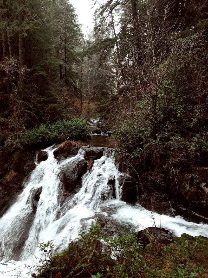 Why Beaver Creek Falls Is Perfect for Families