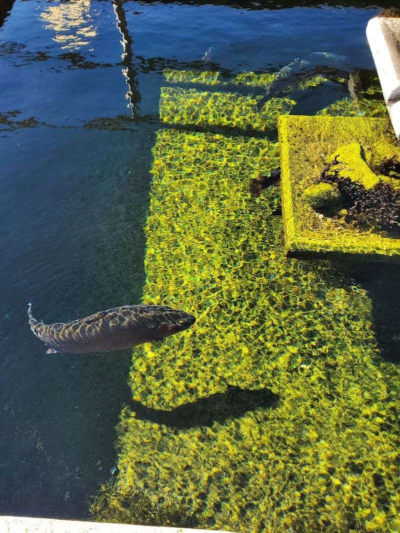 Pequest River, New Jersey