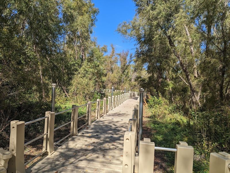 Accessibility That Actually Lives Up to the Promise