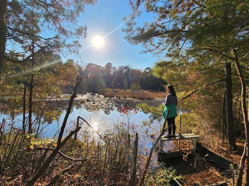 The White Cedar Swamp Trail Experience